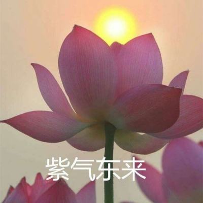 魔力宝贝旅人九游版下载